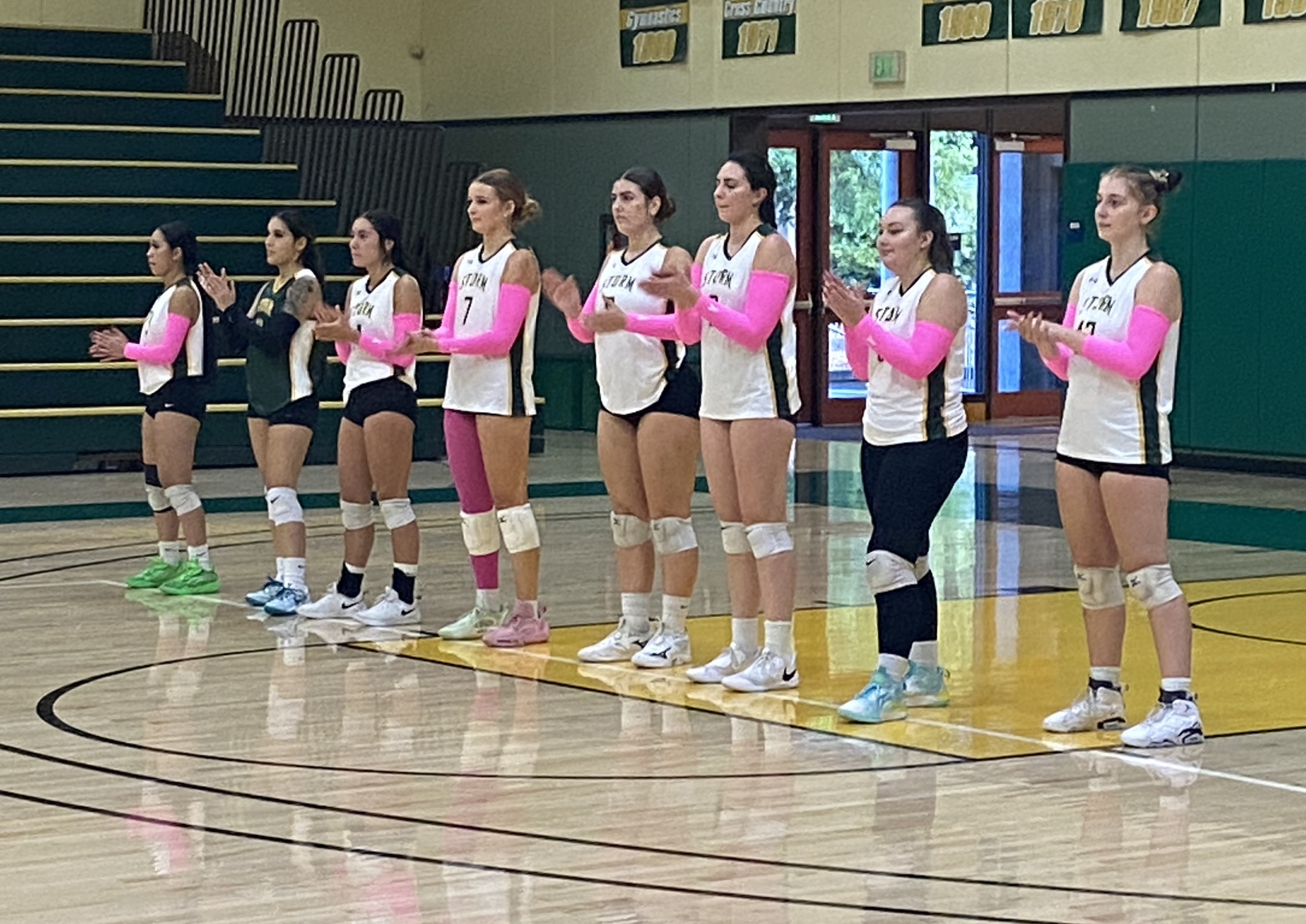 NVC’s Avila-Navarro, Kenney named to All-Bay Valley Conference volleyball team